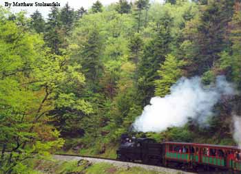 our train running past spruce