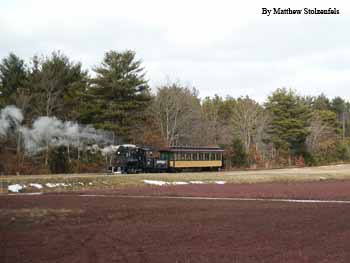 passing a cranberry bog