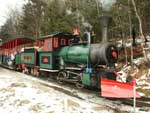 link to Loon Mountain Railroad page